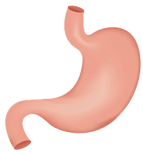 關(guān)注職場“腸”態(tài)，守護員工健康——上海格瑞特特邀消化內(nèi)科專家公益系列講座（4）(圖9)